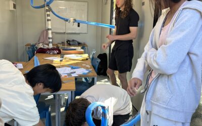 Physics in Motion: Class 11 Electives Take Off